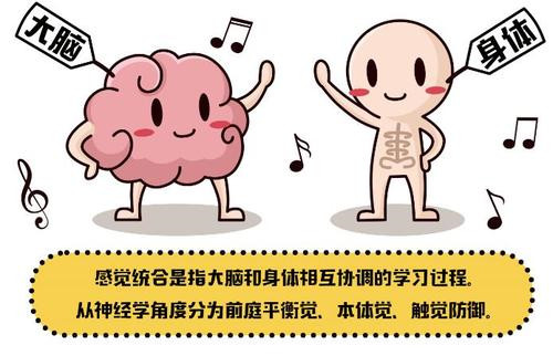 儿童感觉统合是什么？有什么用？