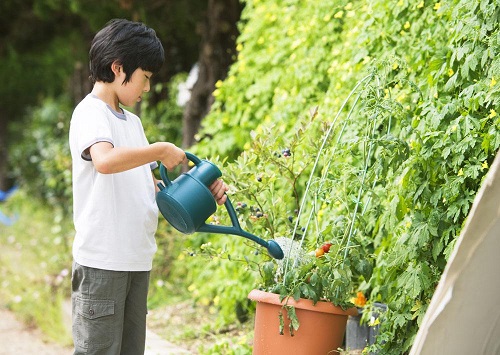 怎样做感统训练?以下几个游戏值得学习